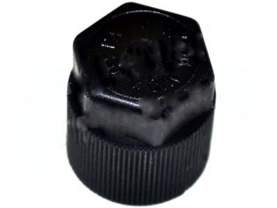 2003 Ford F-150 A/C Service Cap - F7RZ-19D702-AA