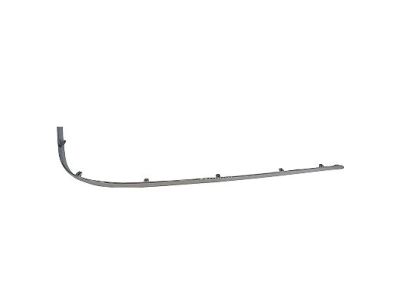 Ford 3W1Z-17C830-BA Moulding - Bumper Bar