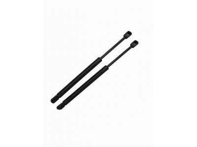 Ford Expedition Lift Support - F65Z-16C826-AA