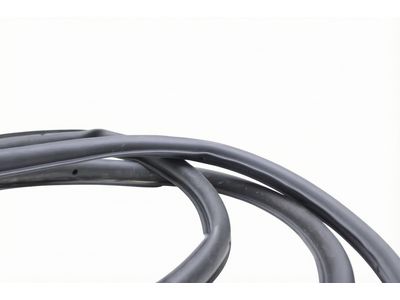 Ford Bronco Sport Weather Strip - M1PZ-7820531-A