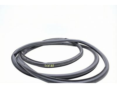 Ford Bronco Sport Weather Strip - M1PZ-7820531-A