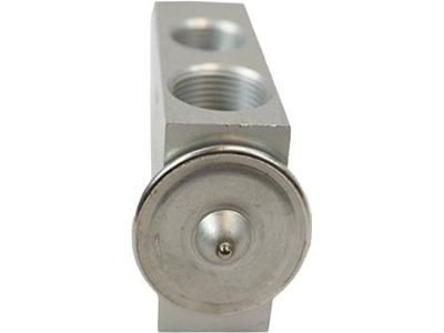 Ford Expedition A/C Expansion Valve - 2L1Z-19849-BA