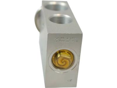 Ford Expedition A/C Expansion Valve - 2L1Z-19849-BA