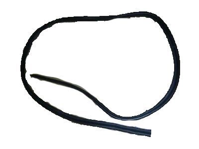 2010 Ford Explorer Weather Strip - 8L2Z-78404A06-A