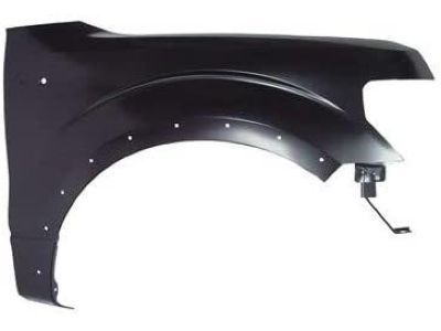 Ford CL3Z-16005-B Fender Assembly - Front