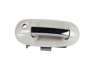 Ford BL7Z-7822405-AAPTM Handle Assembly - Door - Outer