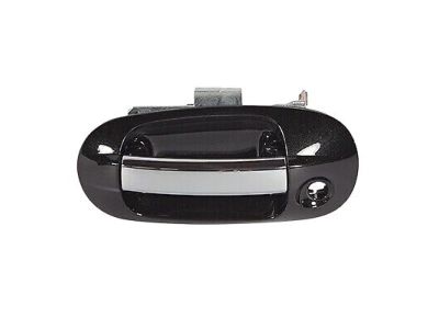 Ford BL7Z-7822405-AAPTM Handle Assembly - Door - Outer