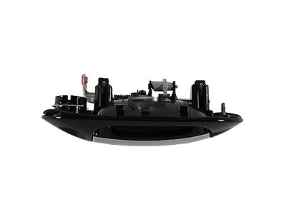 Ford BL7Z-7822405-AAPTM Handle Assembly - Door - Outer