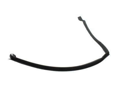 2019 Ford Edge Weather Strip - FT4Z-5828125-C