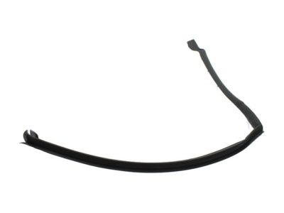 Ford FT4Z-5828125-C Weatherstrip