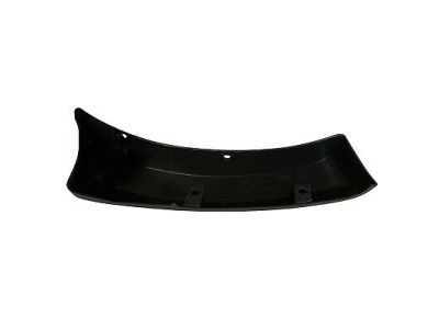 Ford 6C3Z-16038-AA Moulding - Bumper Bar