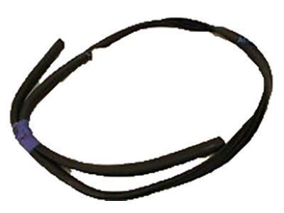 Ford CV6Z-58253A11-A Weatherstrip - Door