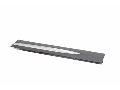 Lincoln Corsair Door Moldings - LJ7Z-7825556-EAPTM