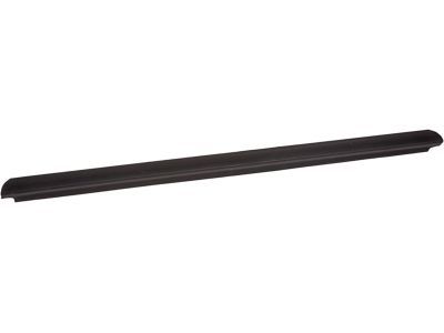 Ford F81Z-2625596-AA Weatherstrip - Door Glass Channel