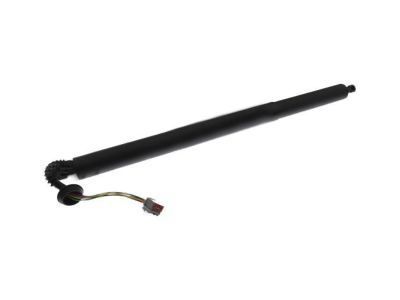 2016 Ford Explorer Lift Support - FB5Z-78406A10-B