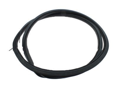 Lincoln Door Seal - GP5Z-5420709-A