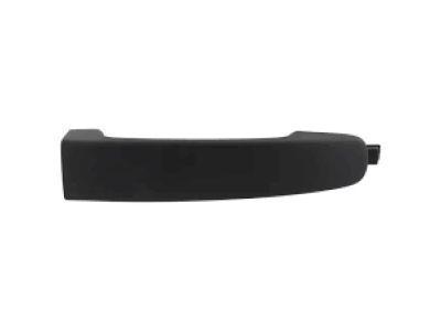 Ford Ranger Door Handle - AB3Z-2122404-EA