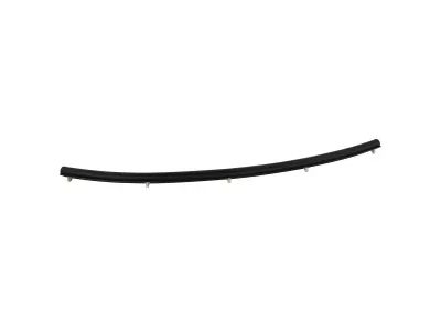 Ford Bronco Sport Weather Strip - M1PZ-16A238-A