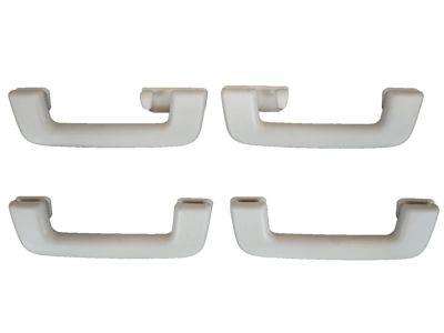 Ford DS7Z-5831406-AE Handle Assist DS7Z-5831406-AE Ford Handle Assist Product Photo 1 of 2