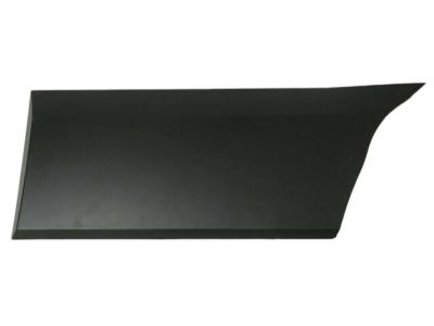 Ford CK4Z-6129397-DB Moulding