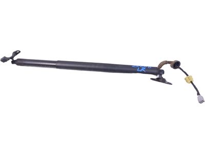 2024 Ford Explorer Lift Support - LB5Z-78406A11-A