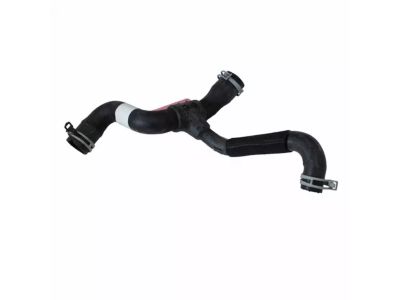 2004 Ford Focus Radiator Hose - 3S4Z-8286-BC