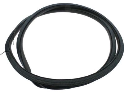 Lincoln MKZ Door Seal - DP5Z-5420709-A