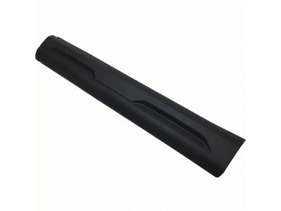 M1PZ-7820878-A Ford Door Outside Moulding Product Photo 3 of 4