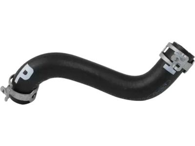 2008 Ford F-150 Power Steering Hose - 5L3Z-3691-AA