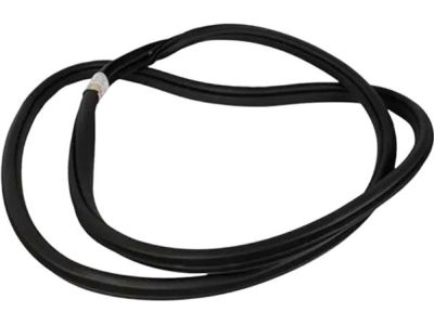 2017 Ford F-250 Super Duty Door Seal - HL3Z-16253A10-A