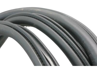 2017 Ford F-250 Super Duty Door Seal - HL3Z-16253A10-A