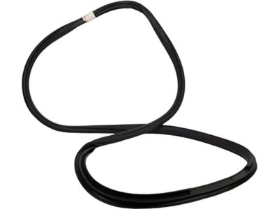 2017 Ford F-250 Super Duty Door Seal - HL3Z-16253A10-A
