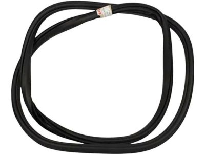 2017 Ford F-250 Super Duty Door Seal - HL3Z-16253A10-A