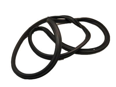 Ford Edge Weather Strip - 8T4Z-78404A06-A