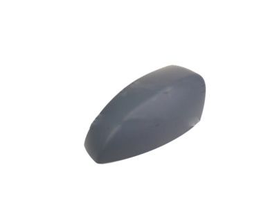 Ford Focus Mirror Cover - CP9Z-17D743-BA