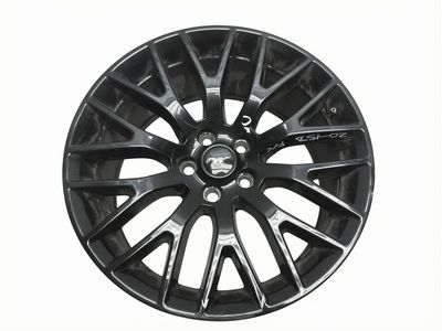 Ford FR3Z-1007-Y