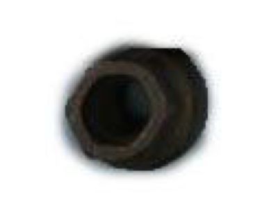 Lincoln Blackwood Lug Nuts - YL3Z-1012-AA