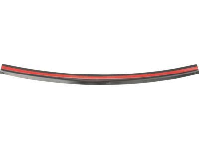 2006 Ford Ranger Weather Strip - 4L5Z-16A238-AA