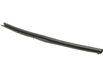 2006 Ford Ranger Weather Strip - 4L5Z-16A238-AA