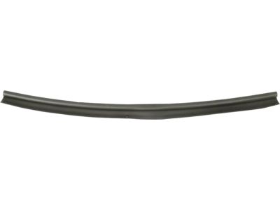 2006 Ford Ranger Weather Strip - 4L5Z-16A238-AA