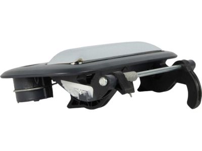 2015 Ford F-250 Super Duty Tailgate Handle - 8L3Z-9943400-DAPTM