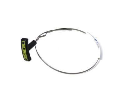 Ford F-250 Dipstick - F4TZ-6750-BA