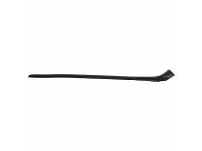 2L1Z-7851692-AA Ford Moulding - Roof Drip Rail Finish Product Photo 3 of 3