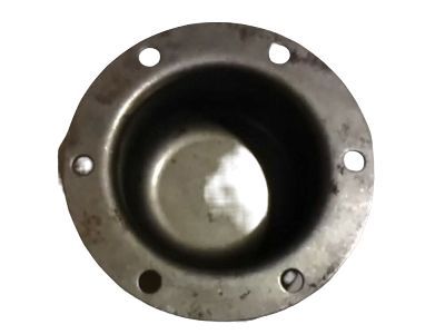 Ford F3HZ-1131-A Cap - Grease