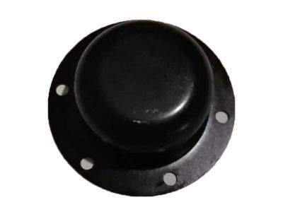 Ford F3HZ-1131-A Cap - Grease