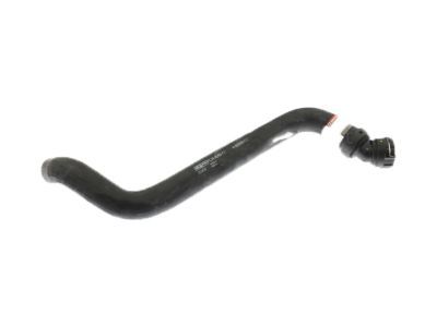 Ford FL3Z-8260-C Hose - Radiator