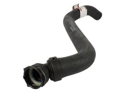 Ford FL3Z-8260-C Hose - Radiator