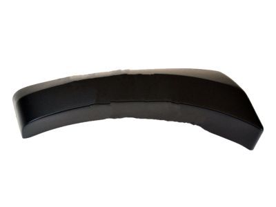 Ford 5C3Z-16039-AAA Moulding - Bumper Bar