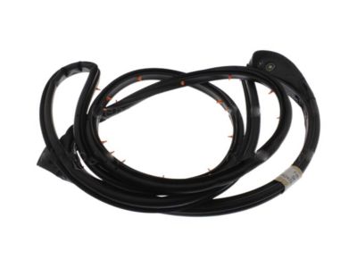 Ford 8A2Z-7825324-A Weatherstrip