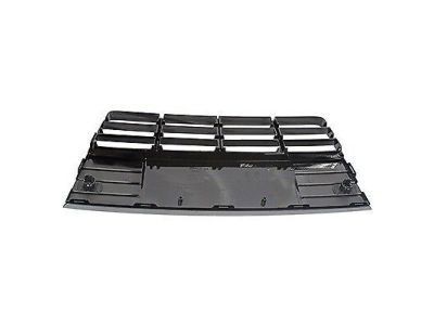 Ford CP9Z-17K945-JA Grille - Bumper